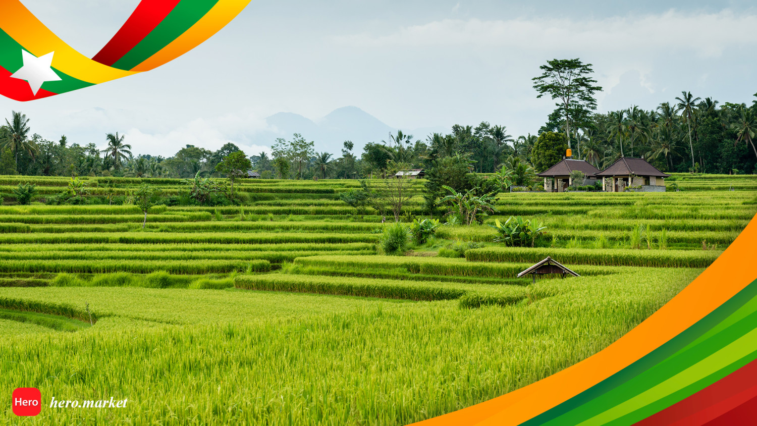 Myanmar Rice Export Destination