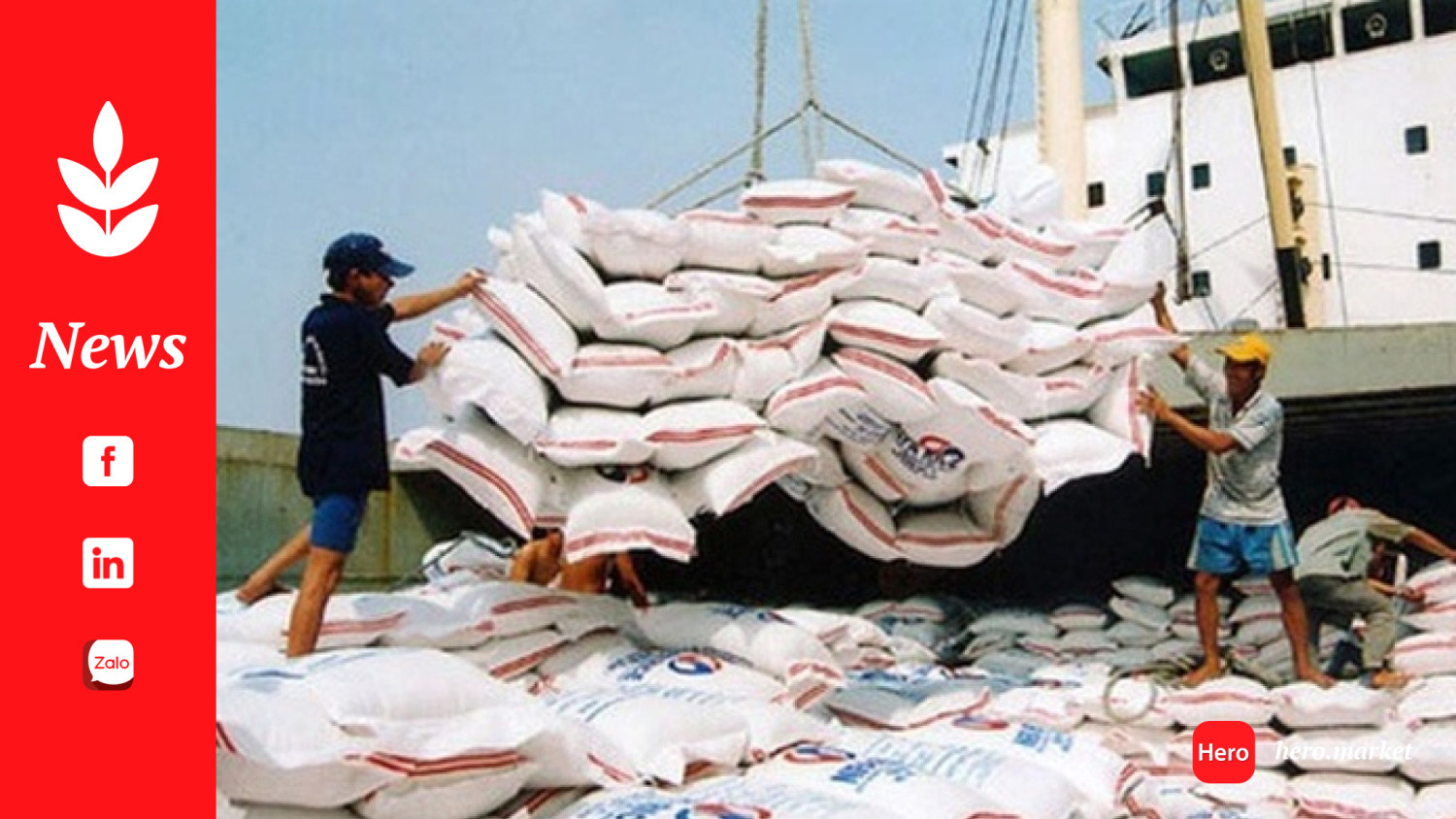 Rice Imports in the Philippines: Recent Trends and Key Suppliers