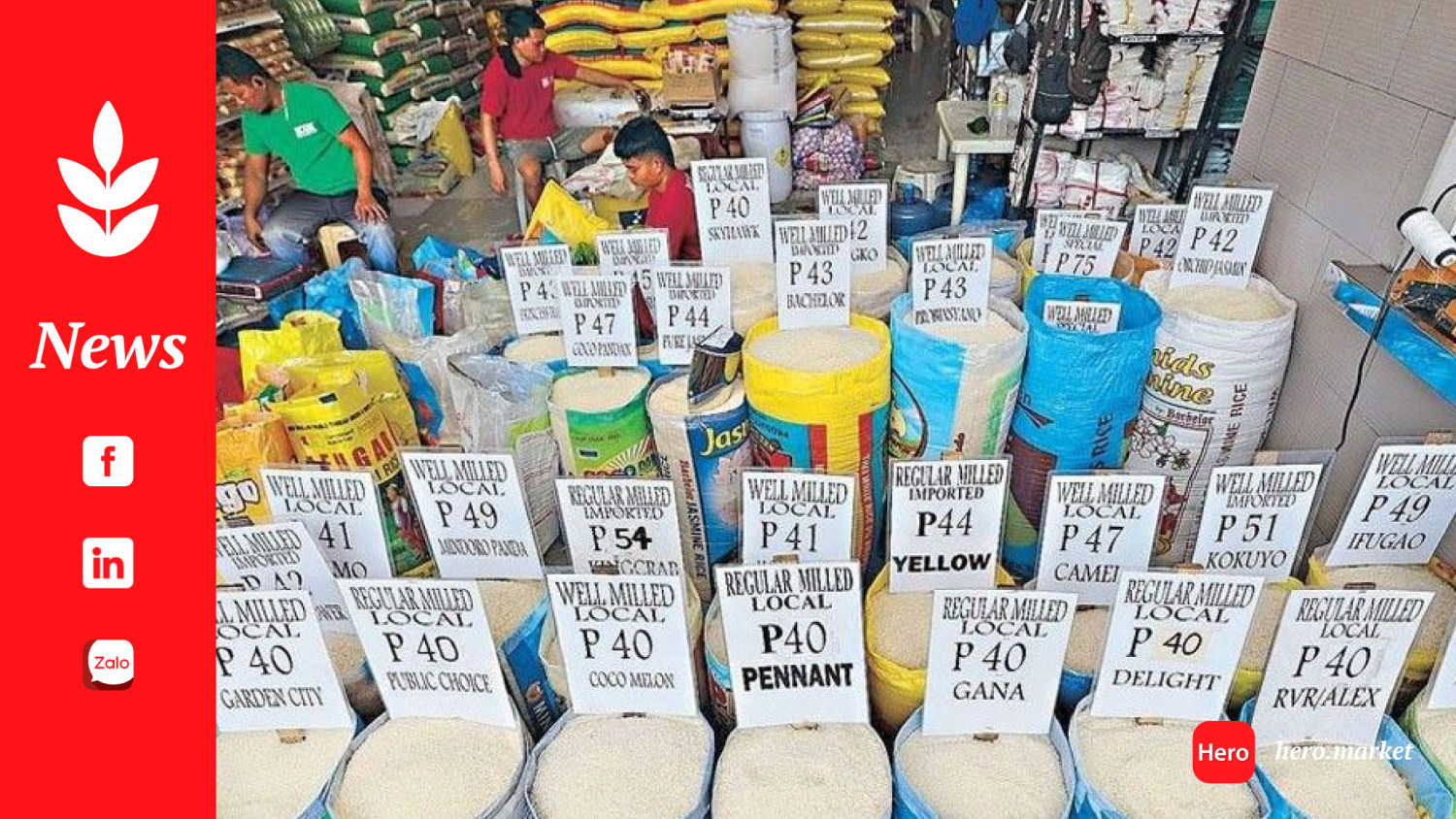 No rice price increase despite ‘Carina,’ monsoon rains in the Philippines