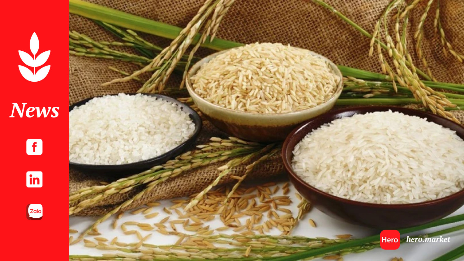 Vietnamese Rice export prices dip, almost the cheapest in the world now!