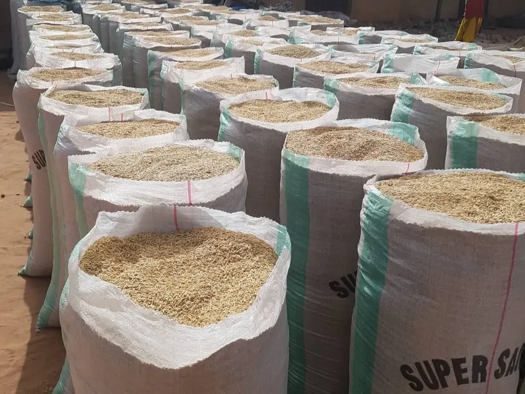 India exported non-basmati rice worth $123 million in April-May