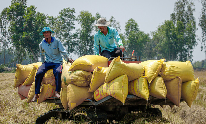 philippines-spends-12b-on-vietnamese-rice-in-h1