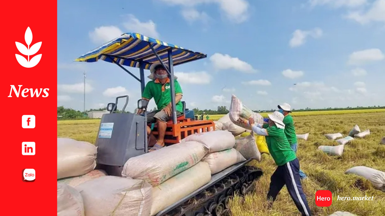 Philippines' rice imports slow down as traders still cautious