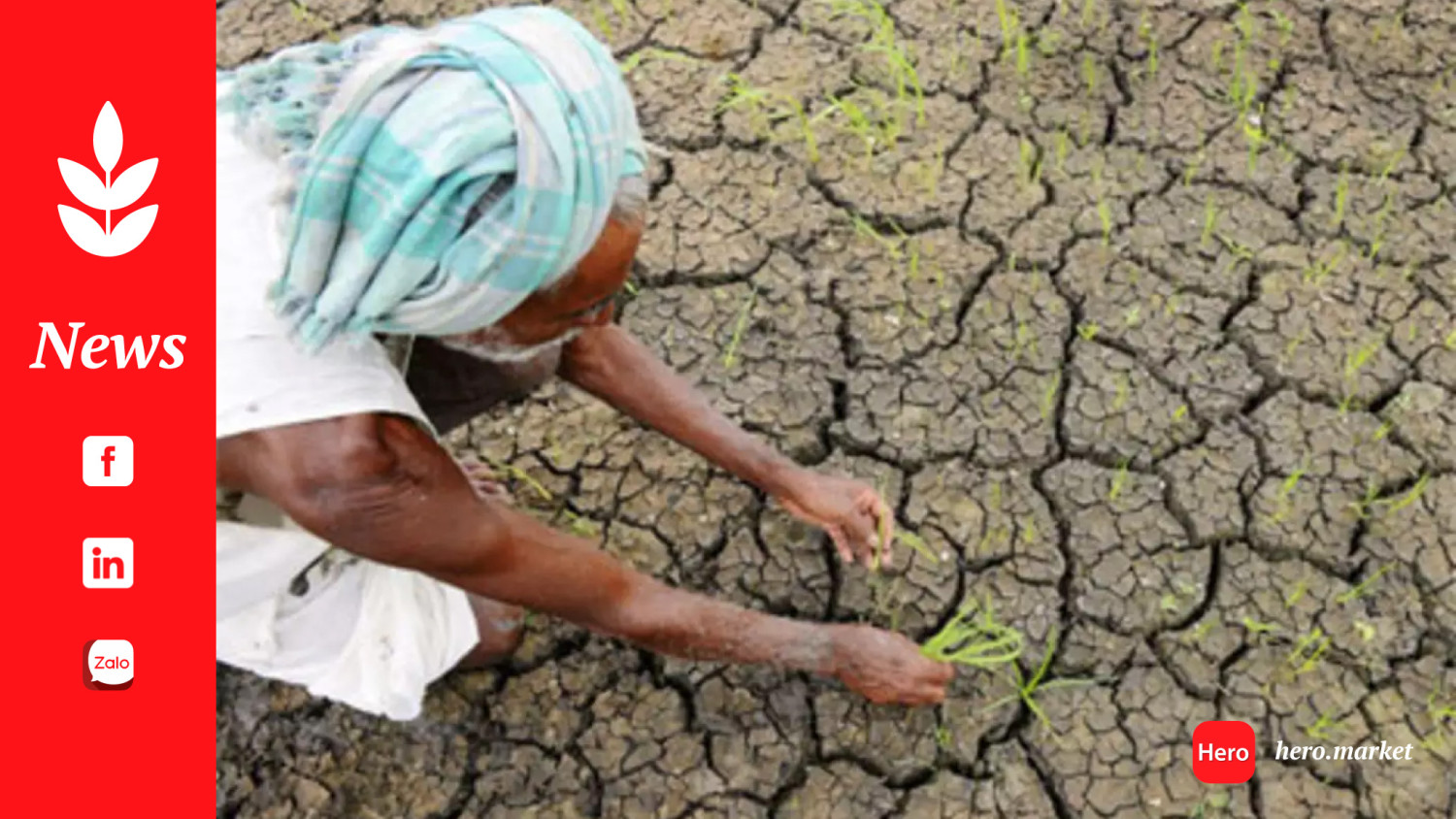 India has received 20 percent less rainfall than normal since June 1: IMD, raises alarms for agri sector