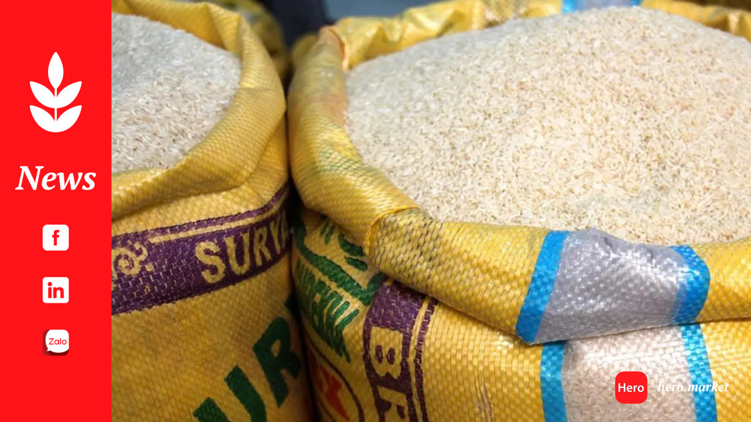 Why Indian Rice Prices Still Remain Stubbornly High in 2024