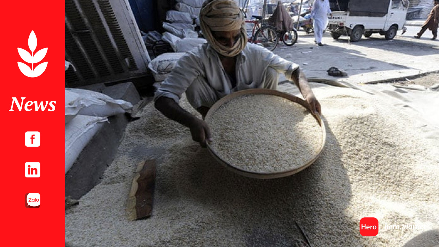 Rice exports exceed expectations, reach record $3.6bn